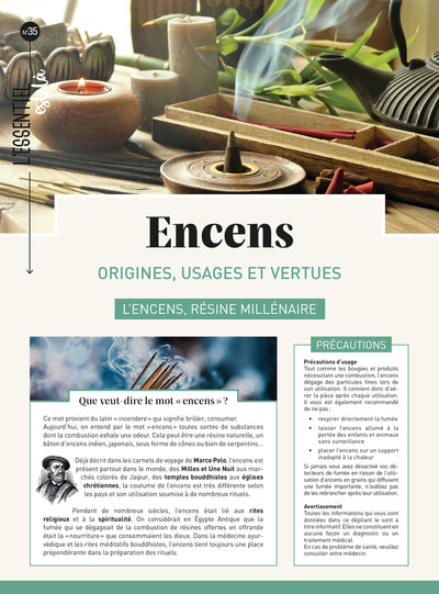 Encens : origines, usages et vertus