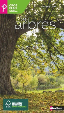Gros plan sur les arbres - Guide nature