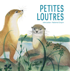Petite loutres