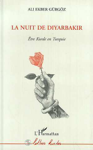La nuit de Diyarbakir