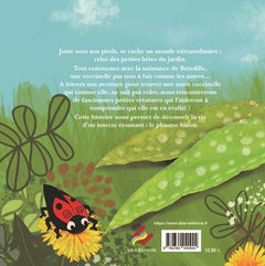 Drôle de coccinelle