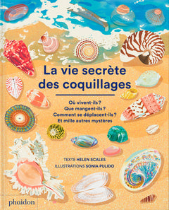 La vie secrète des coquillages