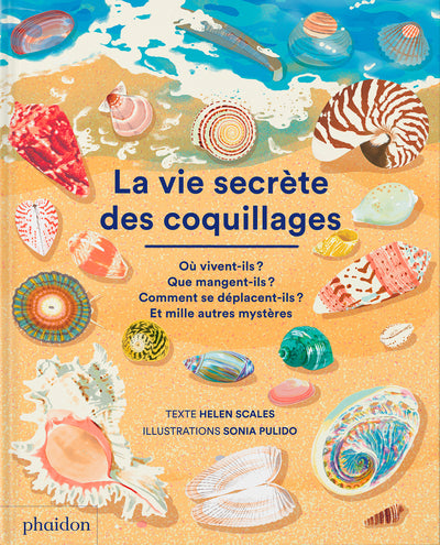 La vie secrète des coquillages