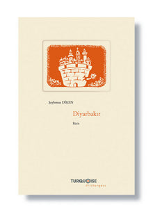 Diyarbakir. La ville qui murmure en ses murs