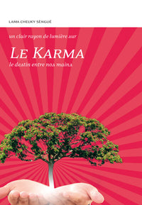 Le karma - Le destin entre nos mains