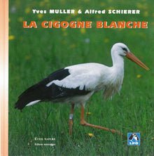 La cigogne blanche