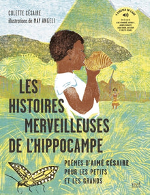 Les histoires merveilleuses de l'hippocampe