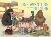 Une aventure du soir