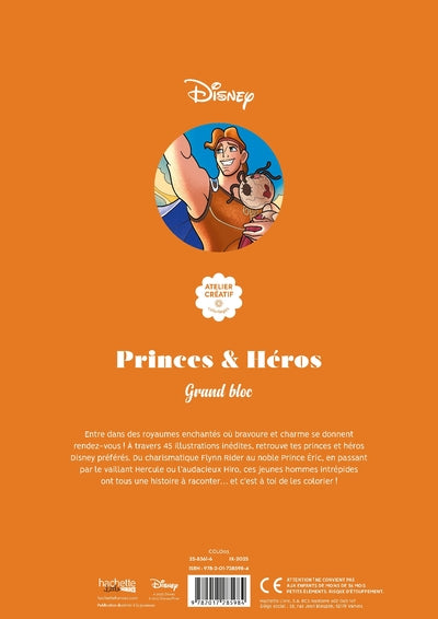 Grand bloc Disney - Princes et héros