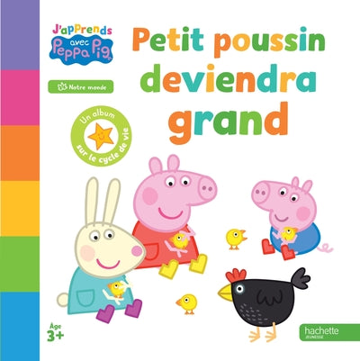 Petit poussin deviendra grand