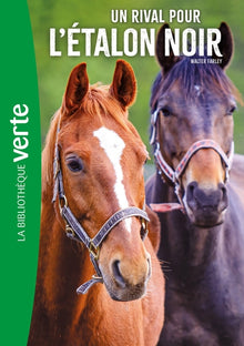 Un rival pour l'étalon noir