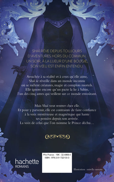 Le retour de Sahin - livre 1