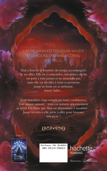 Le Retour de Sahin - livre 2