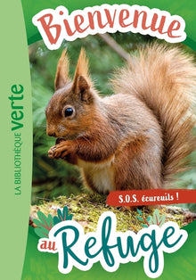 S.O.S. écureuils !