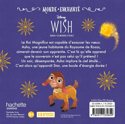 Wish, Asha et la bonne étoile