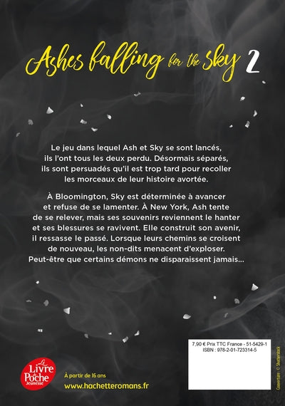 Ashes falling for the sky - Tome 2
