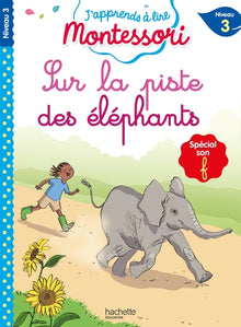 Sur la piste des éléphants