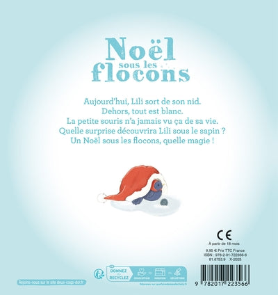 Noël sous les flocons