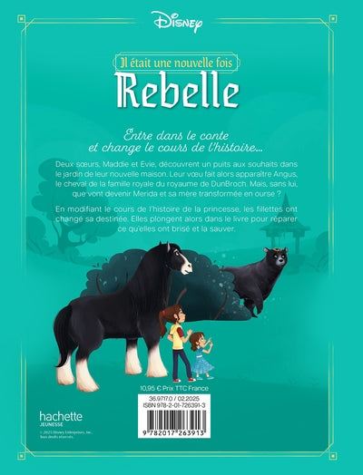 Et si Merida n'avait pas pu briser le sortilège ?