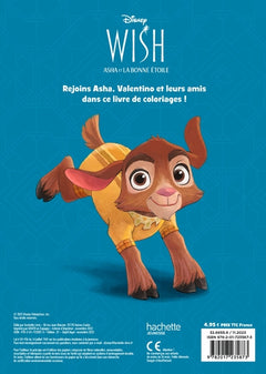 Wish, Asha et la bonne étoile