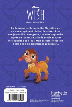 WISH, ASHA ET LA BONNE ÉTOILE - L'Histoire du Film - Disney