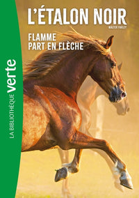 Flamme part en flèche