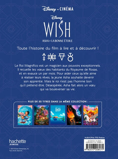 Wish, Asha et la bonne étoile