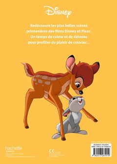 Disney Teens - Atelier de coloriages - Scènes de printemps