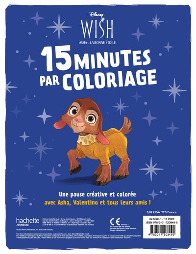 Wish, Asha et la bonne étoile