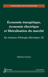 Économie énergétique, économie électrique et libéralisation du marché : les réseaux d'énergie électrique 3A