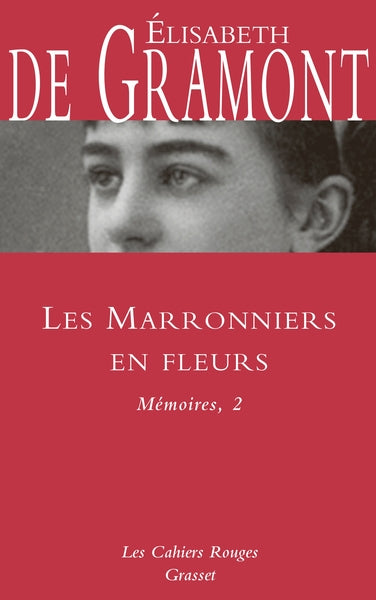 Les marronniers en fleurs