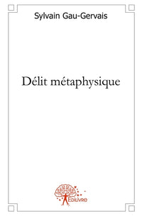 Délit métaphysique