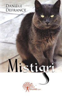 Mistigri