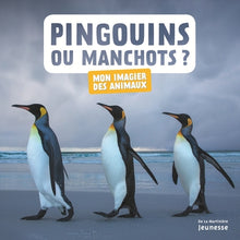 Pingouins ou manchots