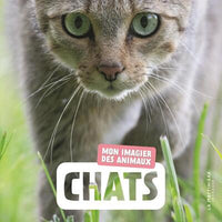 Chats