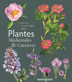 Atlas illustré des plantes médicinales et curatives