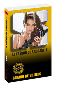 Le trésor de Saddam - tome 1
