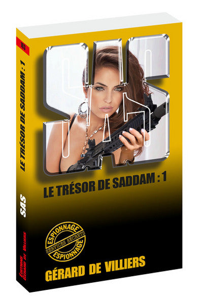 Le trésor de Saddam - tome 1