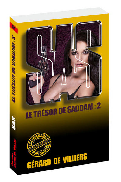 Le trésor de Saddam - tome 2
