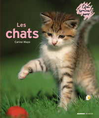 Les chats