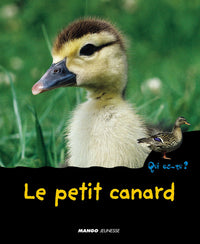 Le petit canard