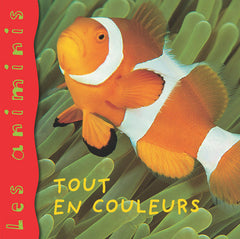 Les Animinis : Animaux colorés