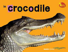Le crocodile