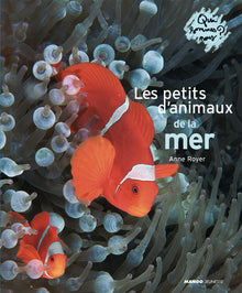 Les petits animaux de la mer