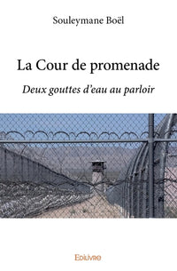 La Cour de promenade