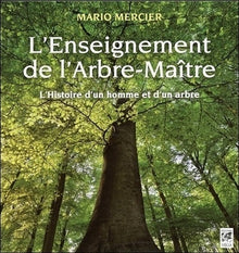 L'enseignement de l'arbre-maître