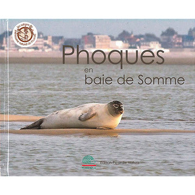 Phoques de la baie de Somme