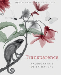 Transparence: Radiographie de la nature