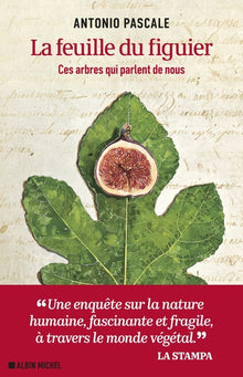 La feuille du figuier