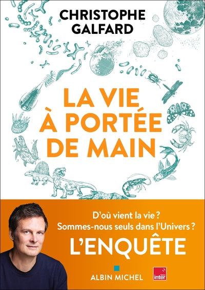 La vie à portée de main